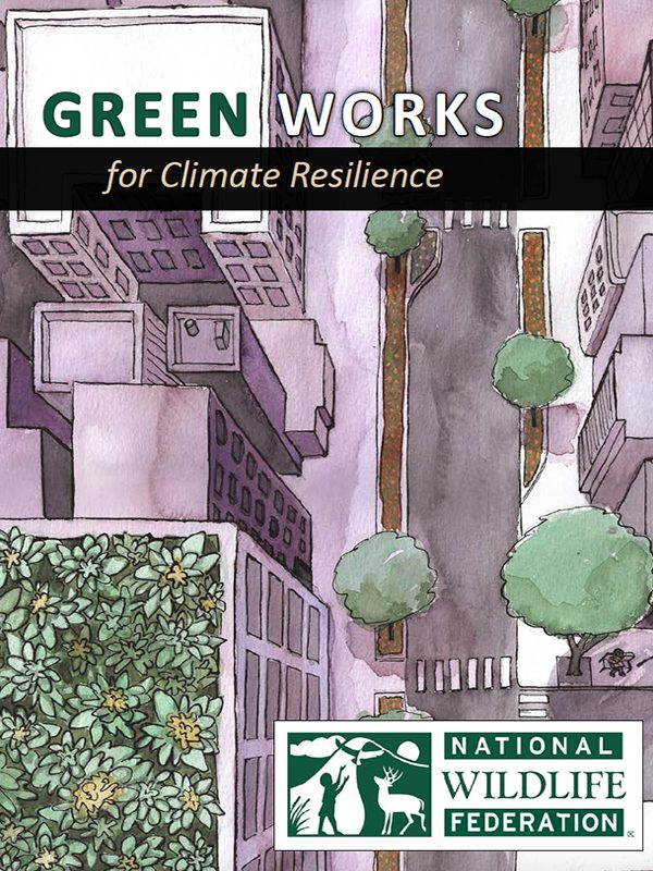 Green Works, NWF book